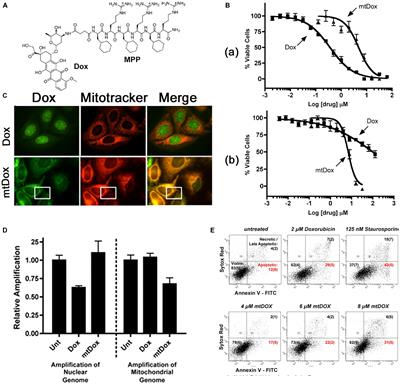 Mitochondrial-Targeting Anticancer Agent Conjugates and Nanocarrier Systems for Cancer Treatment